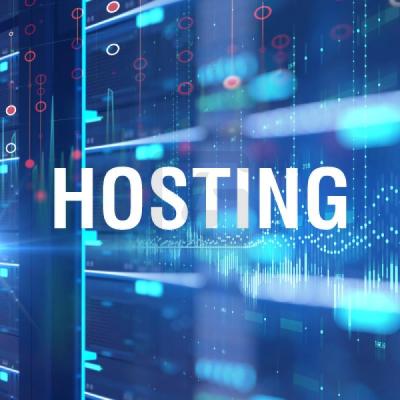 Profosyonel Hosting